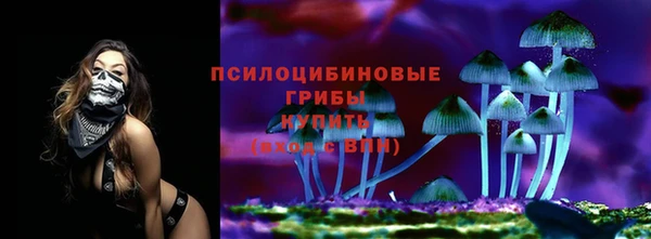 не бодяженный Белокуриха
