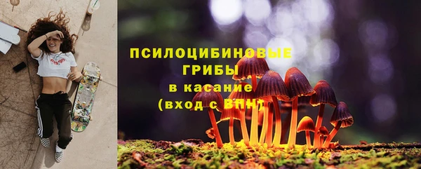 не бодяженный Белокуриха