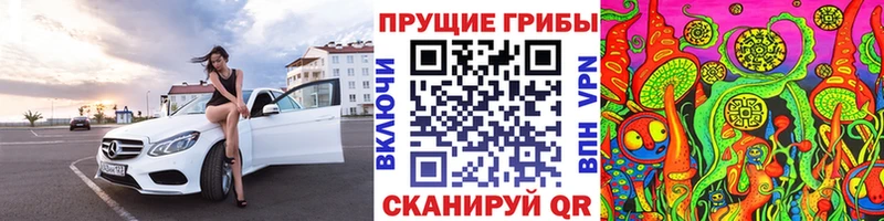 Псилоцибиновые грибы мицелий  Жердевка 